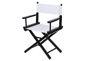 Director chair